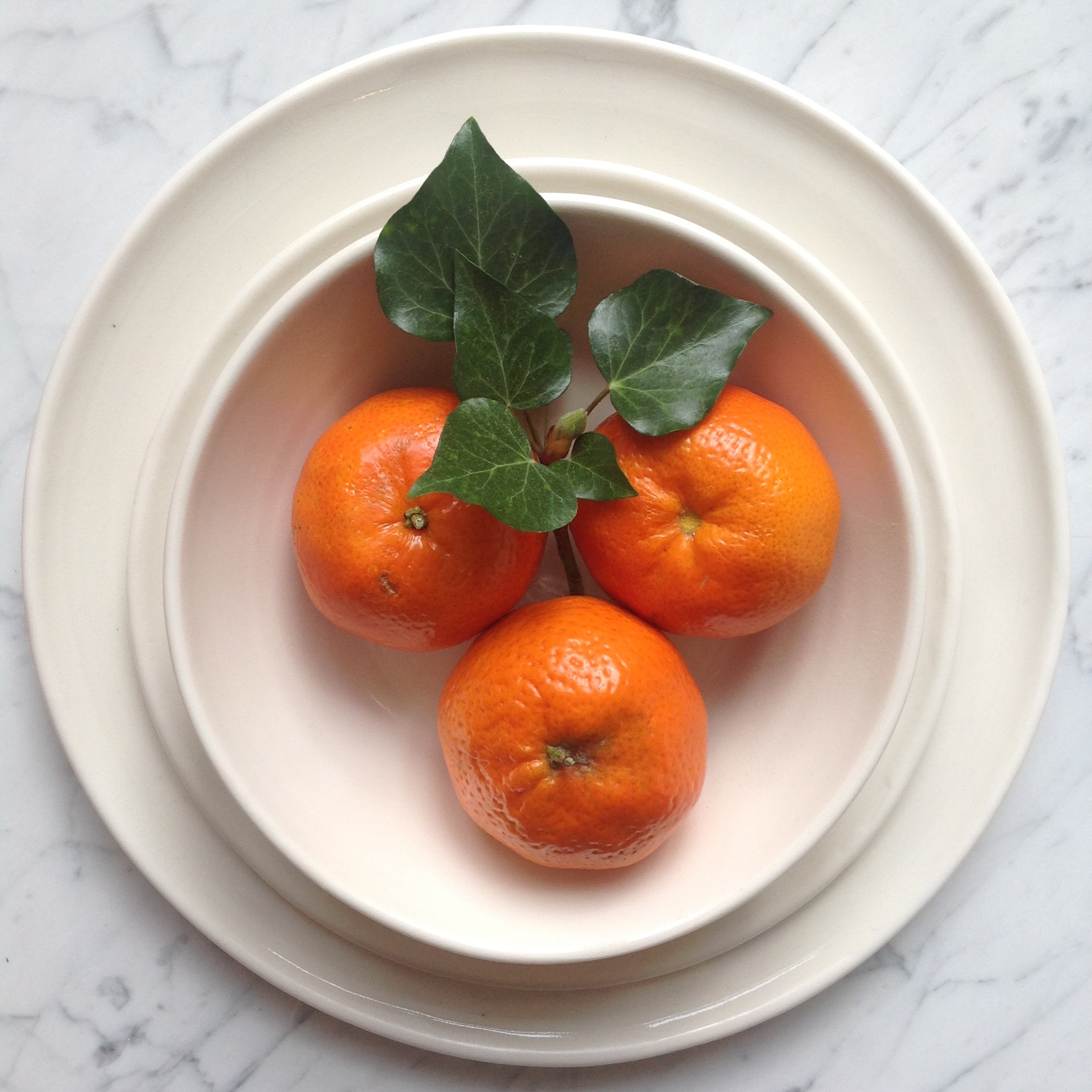 Matt porcelain plate- dinnerware- tableware- handmade- hand thrown- by linda bloomfield- place setting-