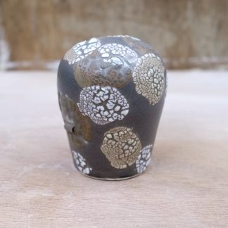 lichen form