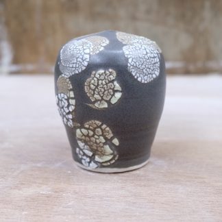 lichen form