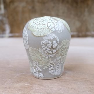 lichen form
