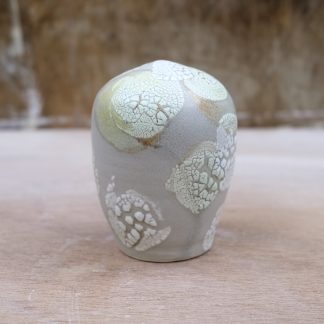 lichen form