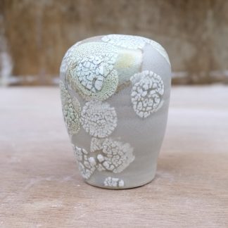 lichen form