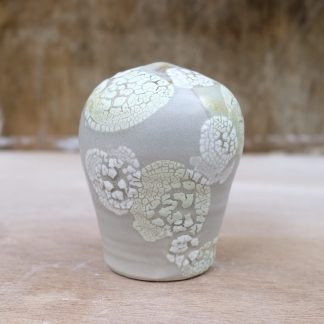 lichen form