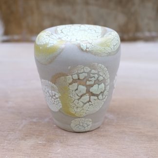 lichen form