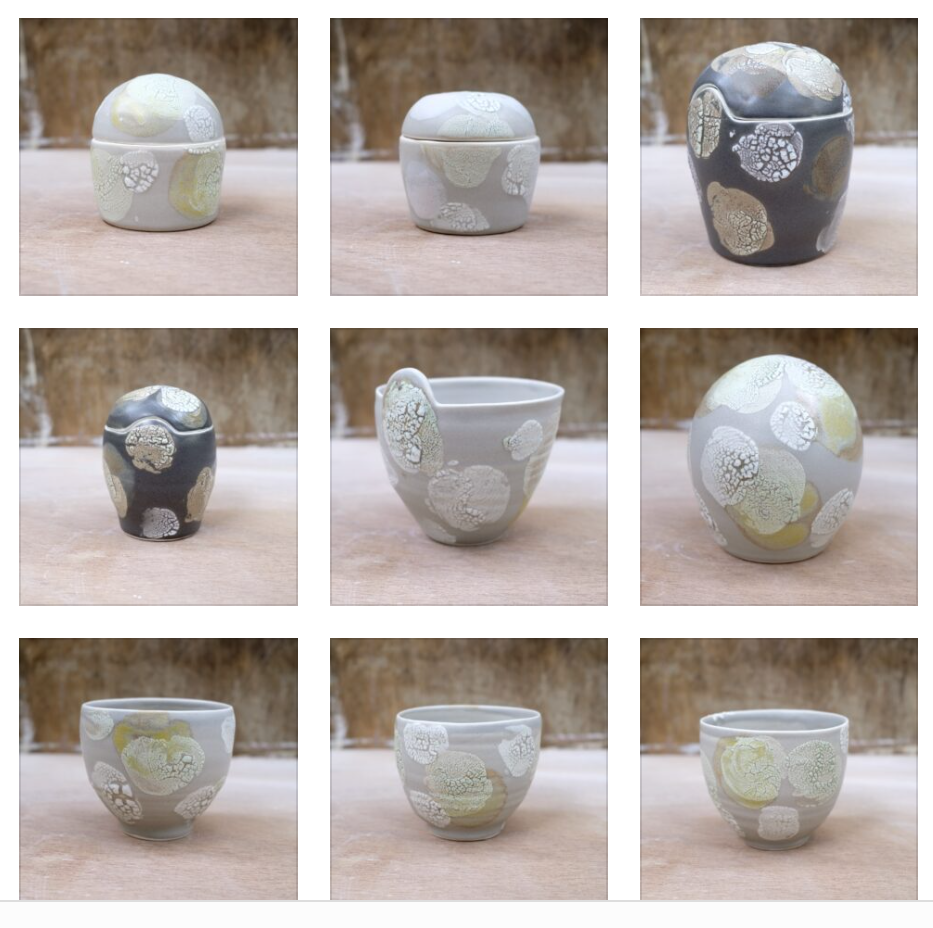 Linda Bloomfield lichen pots
